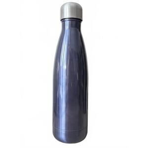 Threshold Stainless Steel Insulated Water Bottle - Navy Blue
